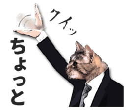 Cat office worker sticker #5039383