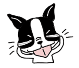 kawaii! Boston Terrier sticker #5039513