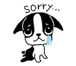 kawaii! Boston Terrier sticker #5039514
