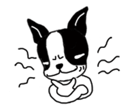 kawaii! Boston Terrier sticker #5039515