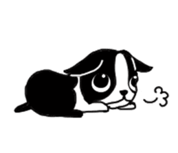 kawaii! Boston Terrier sticker #5039518