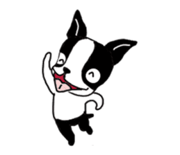 kawaii! Boston Terrier sticker #5039526