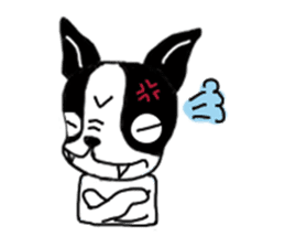 kawaii! Boston Terrier sticker #5039533