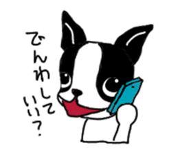 kawaii! Boston Terrier sticker #5039536