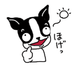 kawaii! Boston Terrier sticker #5039540