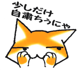 Impertinent cat sticker #5040038