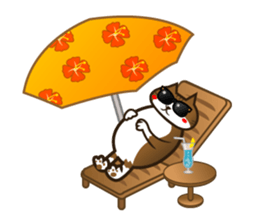 Hawaiian relaxing fat cat ViVi sticker #5042127