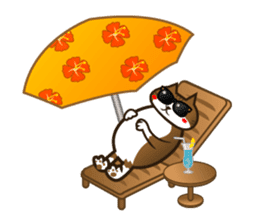 Hawaiian relaxing fat cat ViVi sticker #5042127