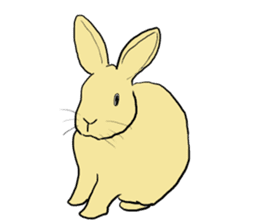 House Rabbits! sticker #5044022