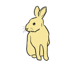 House Rabbits! sticker #5044023