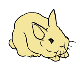 House Rabbits! sticker #5044030