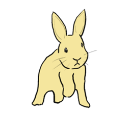 House Rabbits! sticker #5044031