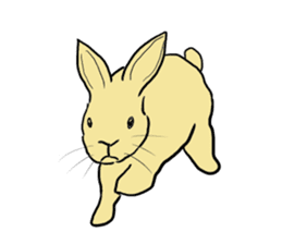 House Rabbits! sticker #5044032