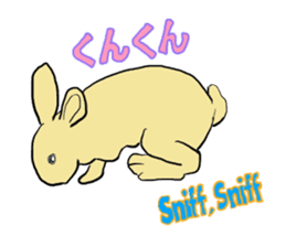 House Rabbits! sticker #5044034