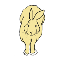 House Rabbits! sticker #5044041