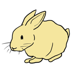 House Rabbits! sticker #5044042