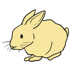 House Rabbits! sticker #5044042