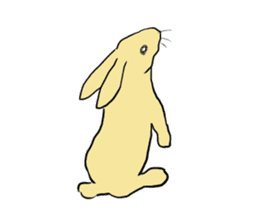 House Rabbits! sticker #5044043
