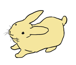House Rabbits! sticker #5044051
