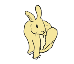 House Rabbits! sticker #5044055