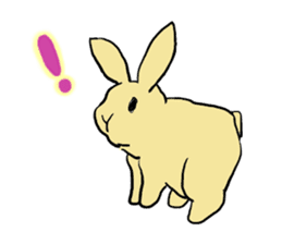 House Rabbits! sticker #5044057