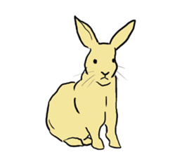 House Rabbits! sticker #5044059