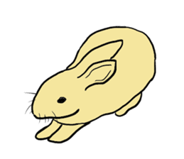 House Rabbits! sticker #5044061