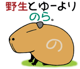 Daily Life of a Stray Capybara sticker #5046302