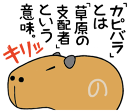 Daily Life of a Stray Capybara sticker #5046305