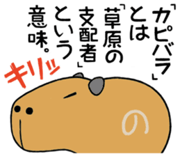 Daily Life of a Stray Capybara sticker #5046305