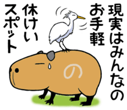 Daily Life of a Stray Capybara sticker #5046306