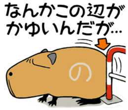 Daily Life of a Stray Capybara sticker #5046310