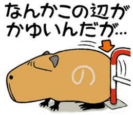 Daily Life of a Stray Capybara sticker #5046310