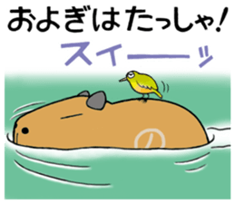 Daily Life of a Stray Capybara sticker #5046313
