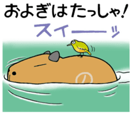 Daily Life of a Stray Capybara sticker #5046313
