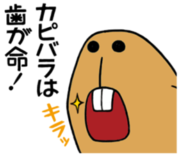 Daily Life of a Stray Capybara sticker #5046315