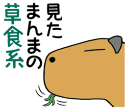Daily Life of a Stray Capybara sticker #5046317