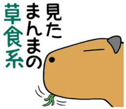 Daily Life of a Stray Capybara sticker #5046317