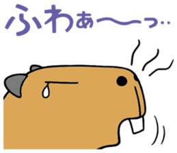 Daily Life of a Stray Capybara sticker #5046318