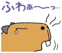 Daily Life of a Stray Capybara sticker #5046318
