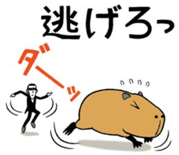 Daily Life of a Stray Capybara sticker #5046324