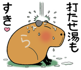 Daily Life of a Stray Capybara sticker #5046327