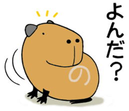 Daily Life of a Stray Capybara sticker #5046330