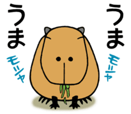 Daily Life of a Stray Capybara sticker #5046332