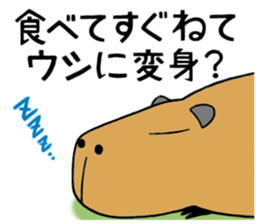Daily Life of a Stray Capybara sticker #5046335