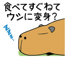 Daily Life of a Stray Capybara sticker #5046335
