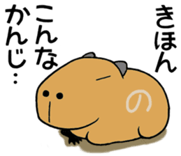 Daily Life of a Stray Capybara sticker #5046339