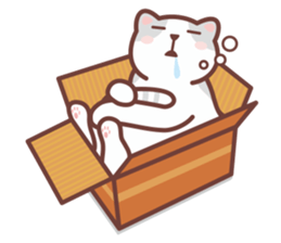 CAT BOX sticker #5048471