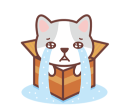 CAT BOX sticker #5048479