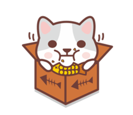 CAT BOX sticker #5048484